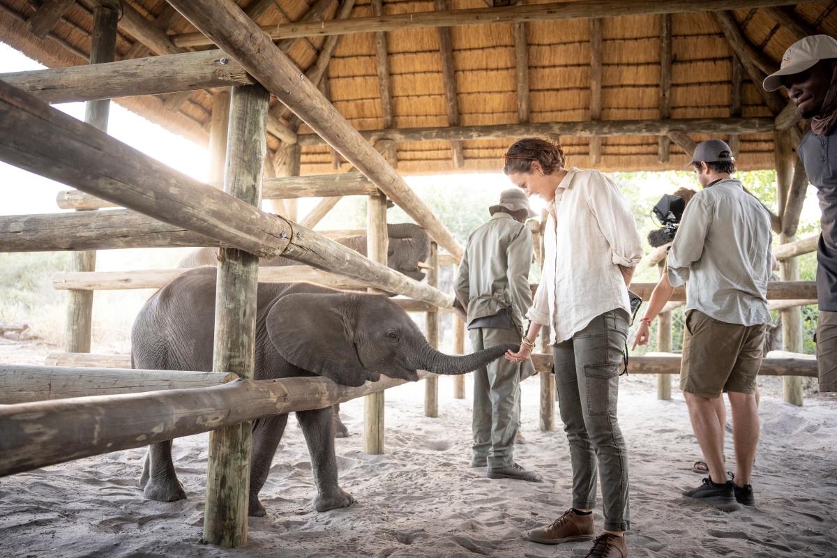 Daunara Safari Camp Botswana Elephant Baby
