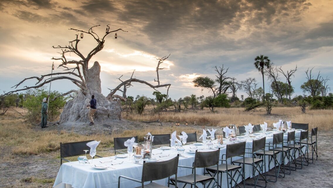 Gomoti Private Botswana - Dinner Under Stars