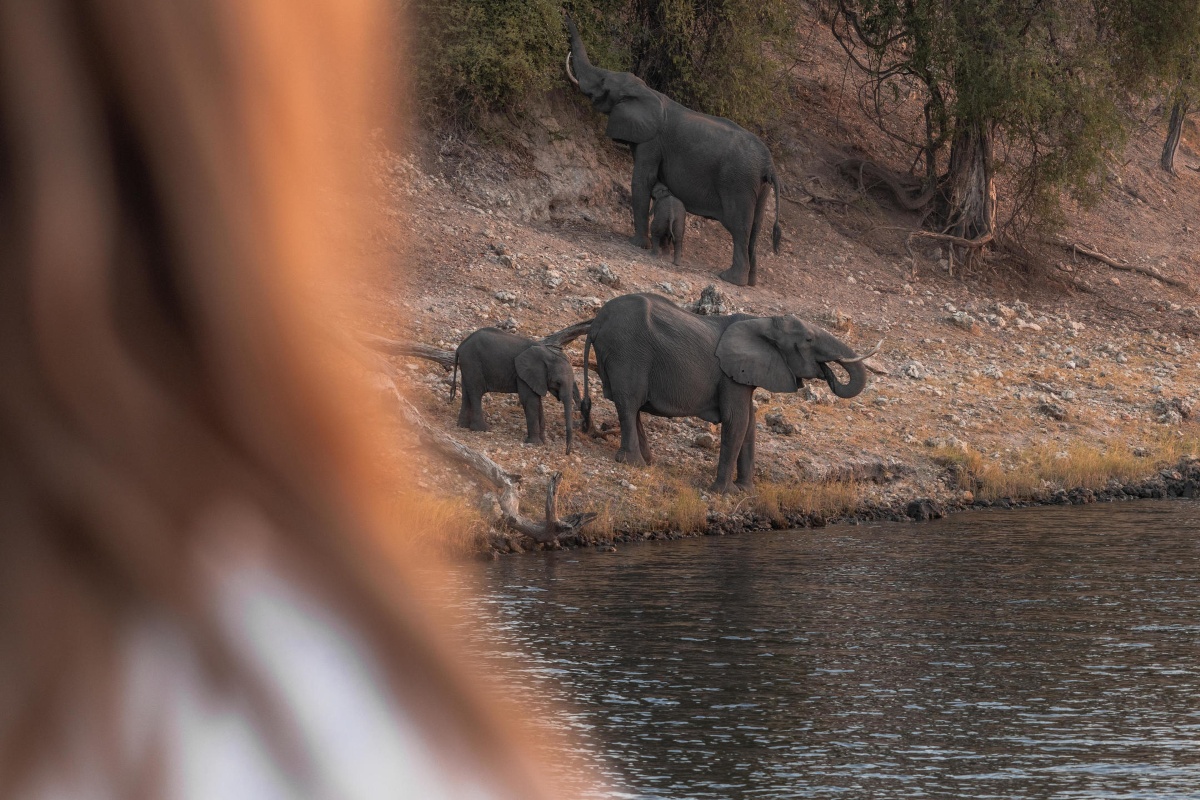 Boteti Tented Safari Lodge 3 Day / 2 Night Boteti & Pans Tour Breakfast