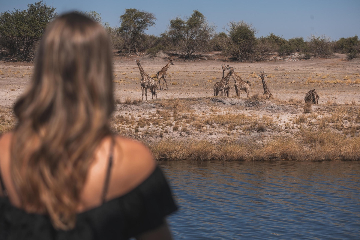 Chobe Princess Giraffe