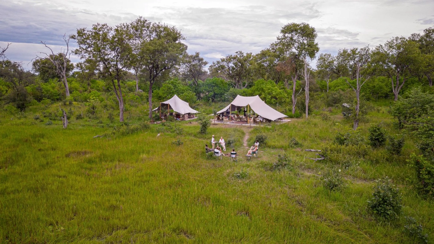 Feline Fields Vintage Camp Aerial