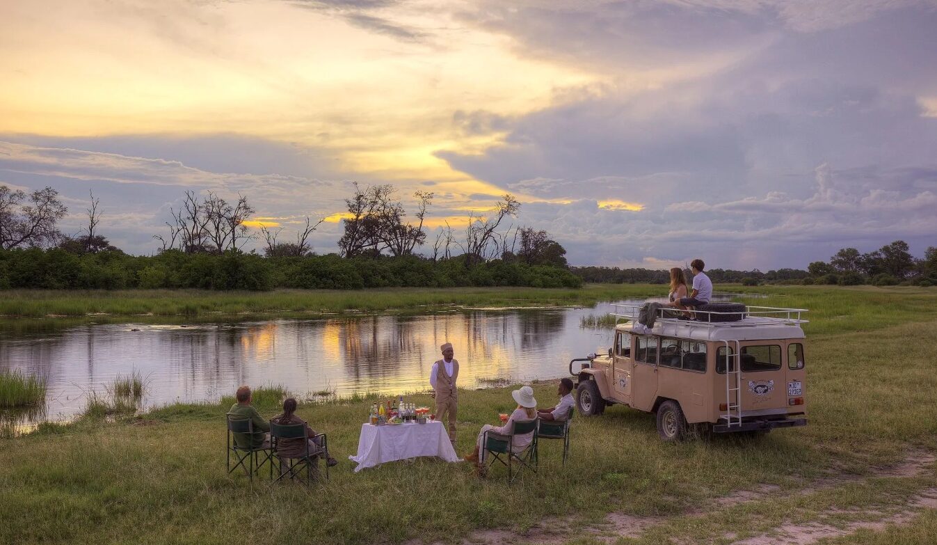 Feline Fields Vintage Camp Game Drive Snacks