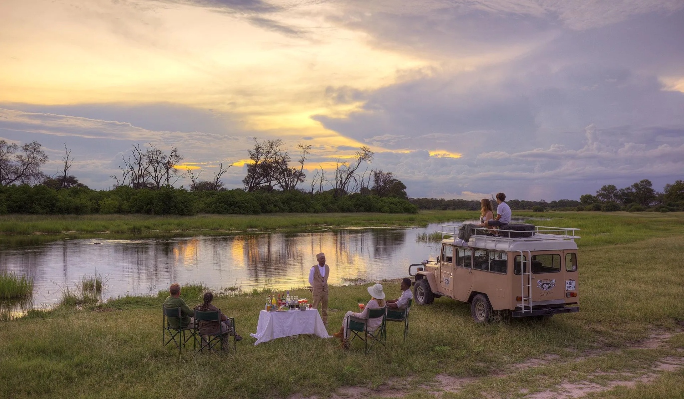 Feline Fields Vintage Camp Game Drive Snacks