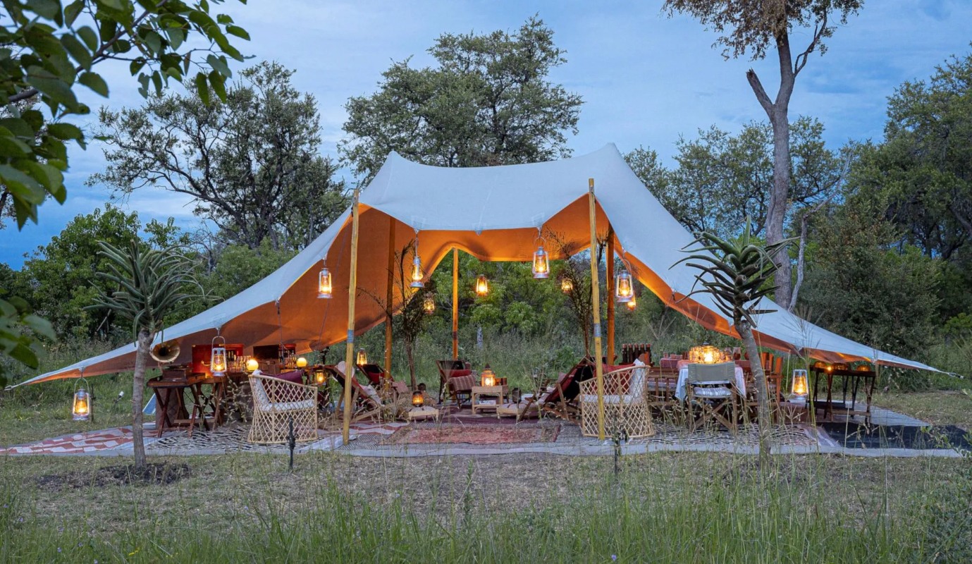 Feline Fields Vintage Camp Lounge