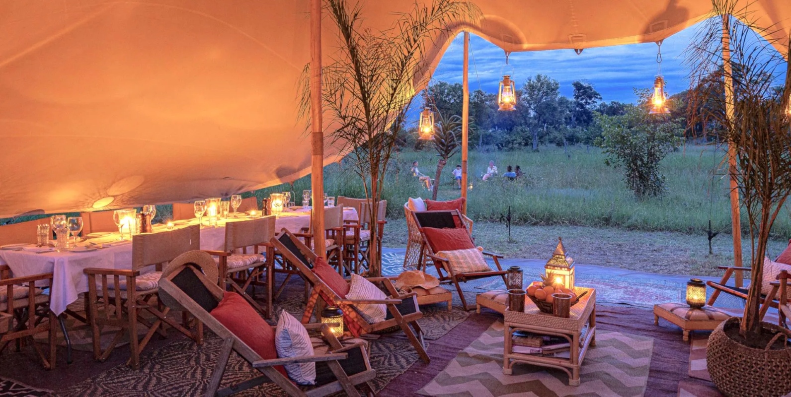 Feline Fields Vintage Camp Lounge and Dining