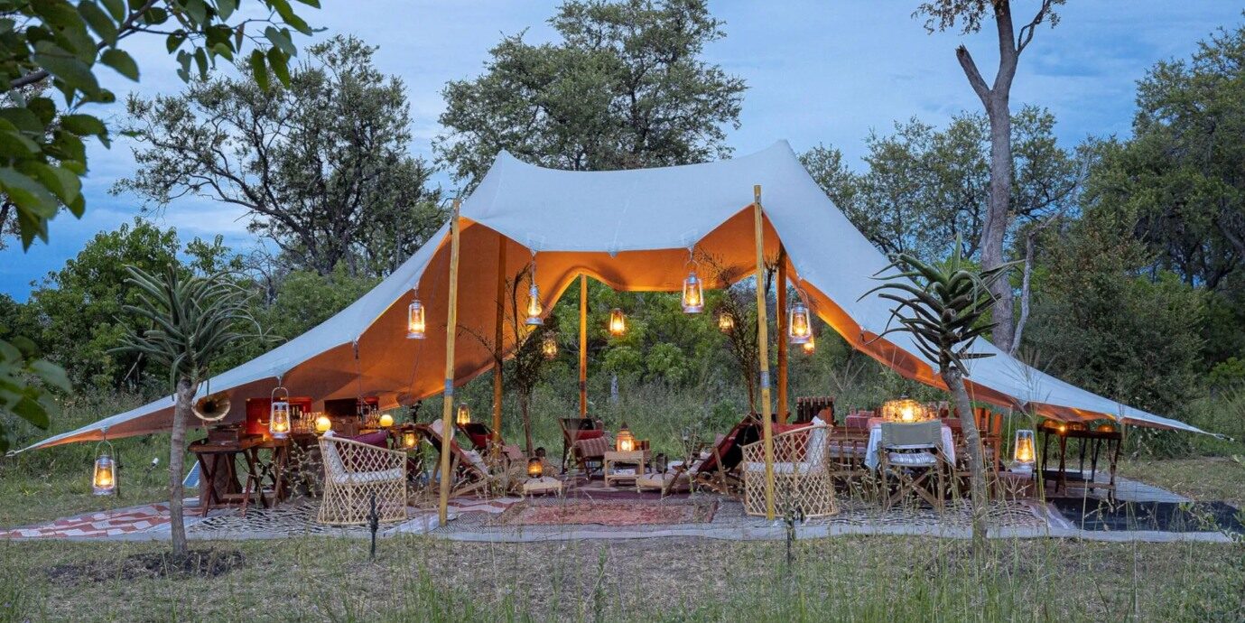 Feline Fields Vintage Camp Lounge