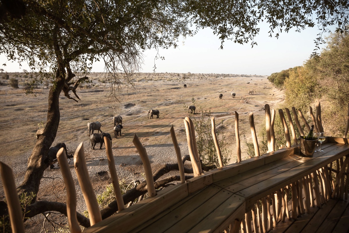 Moela Safari Lodge Viewing Deck Elephant Herd