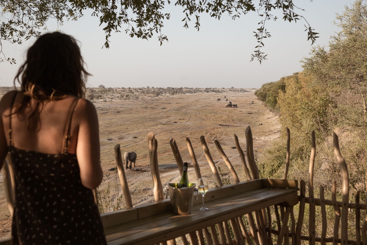 Moela Safari Lodge Viewing Deck Elephant