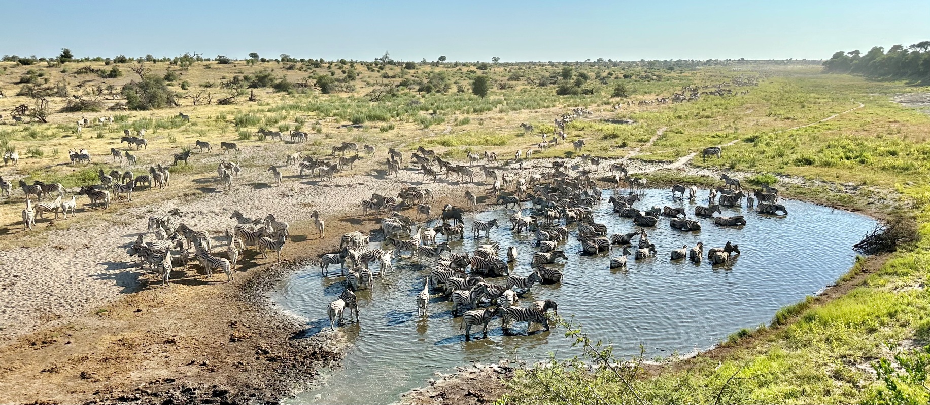 Moela Safari Lodge Watering Hole