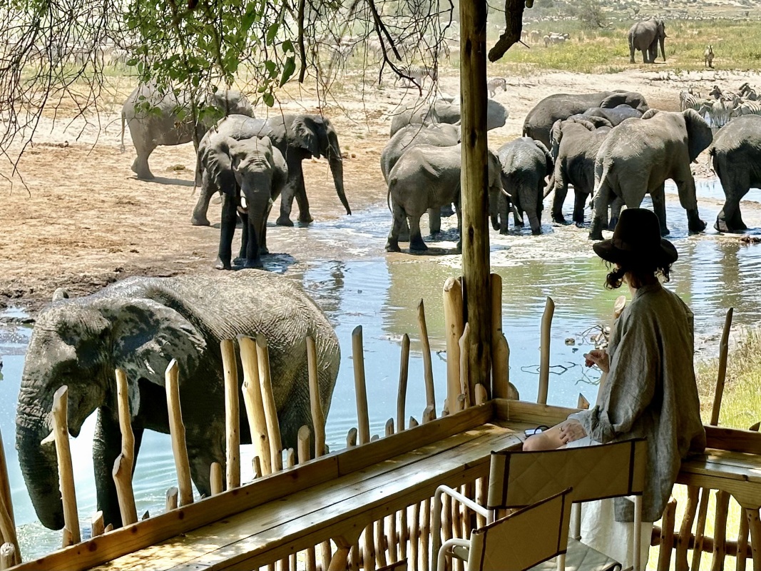Moela Safari Lodge elephants at lodge