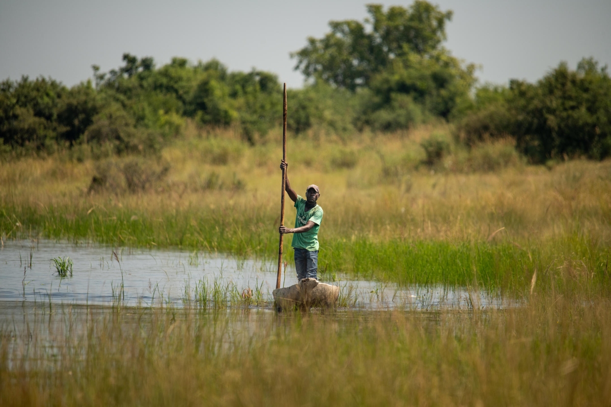 Zambezi Queen Mokoro