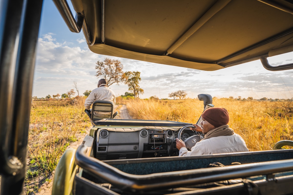 Pom Pom Camp Afternoon Game Drive