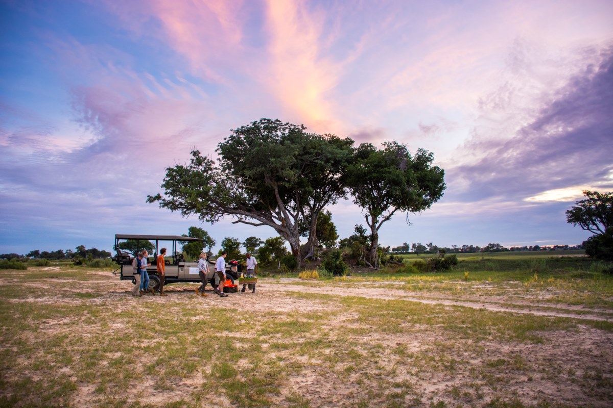 Pom Pom Camp Evening Drive