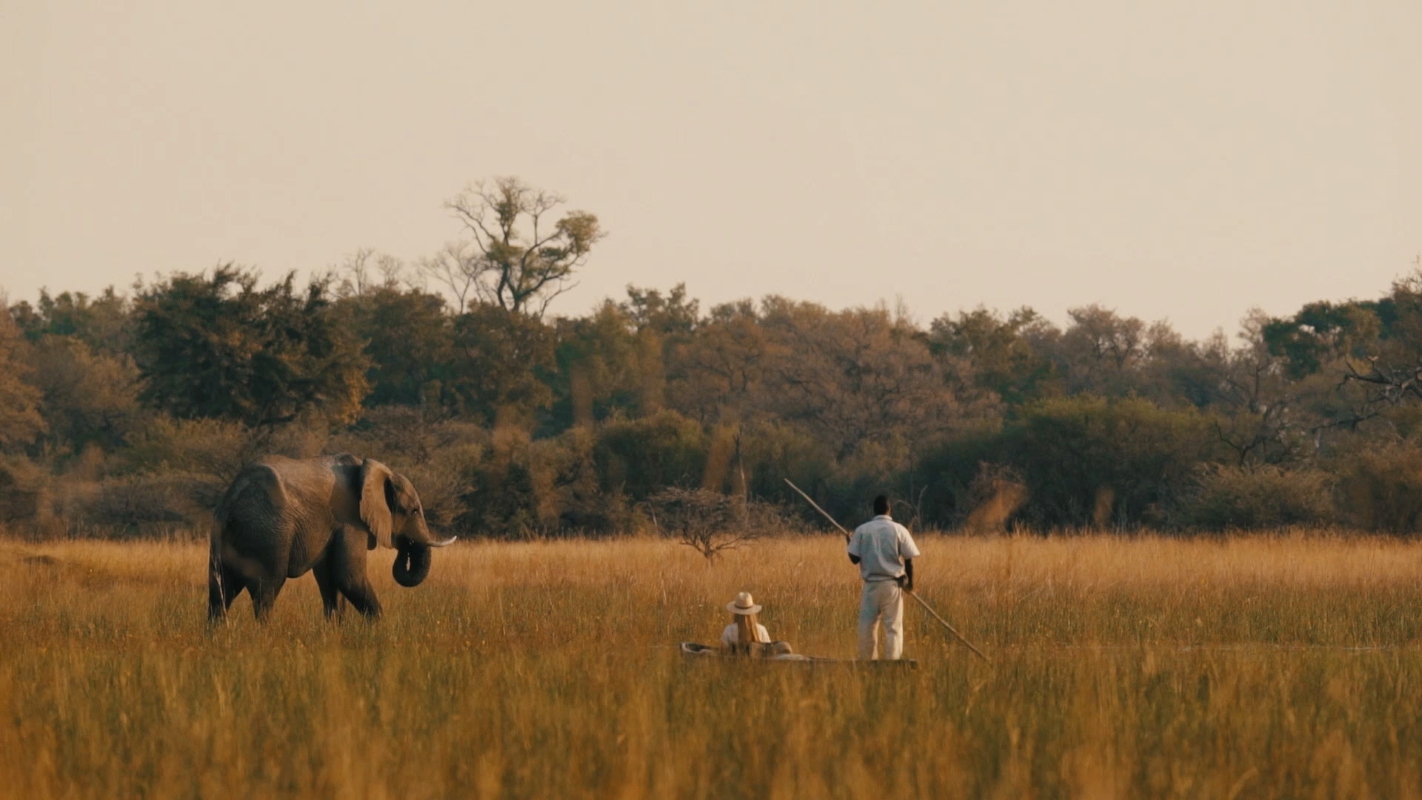 Chief's Camp Mokoro and Elephant