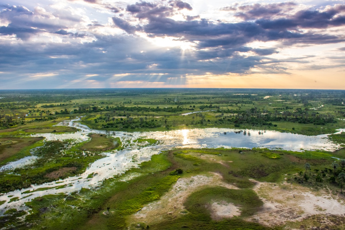 Moremi Crossing Camp