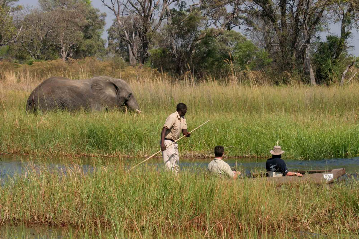 Moremi Crossing Elephant and Mokoro