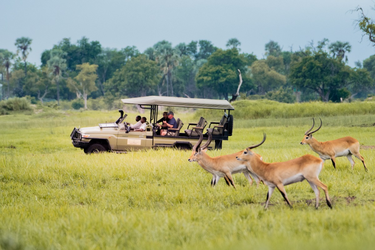 Moremi Crossing Game Drive