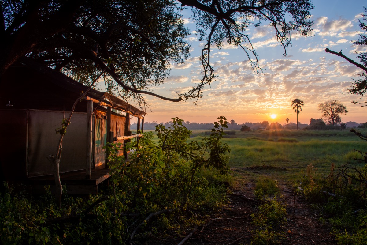 Moremi Crossing Tent View