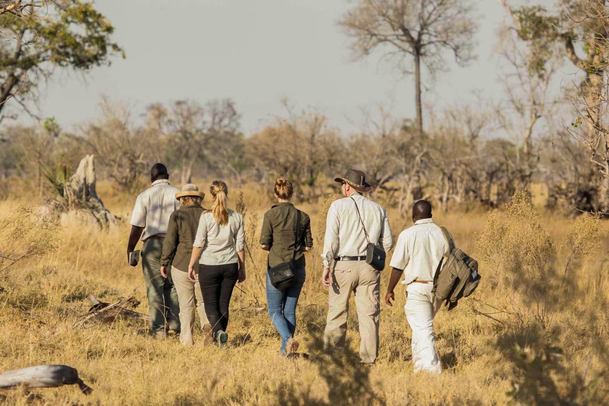Moremi Crossing Walking Safari
