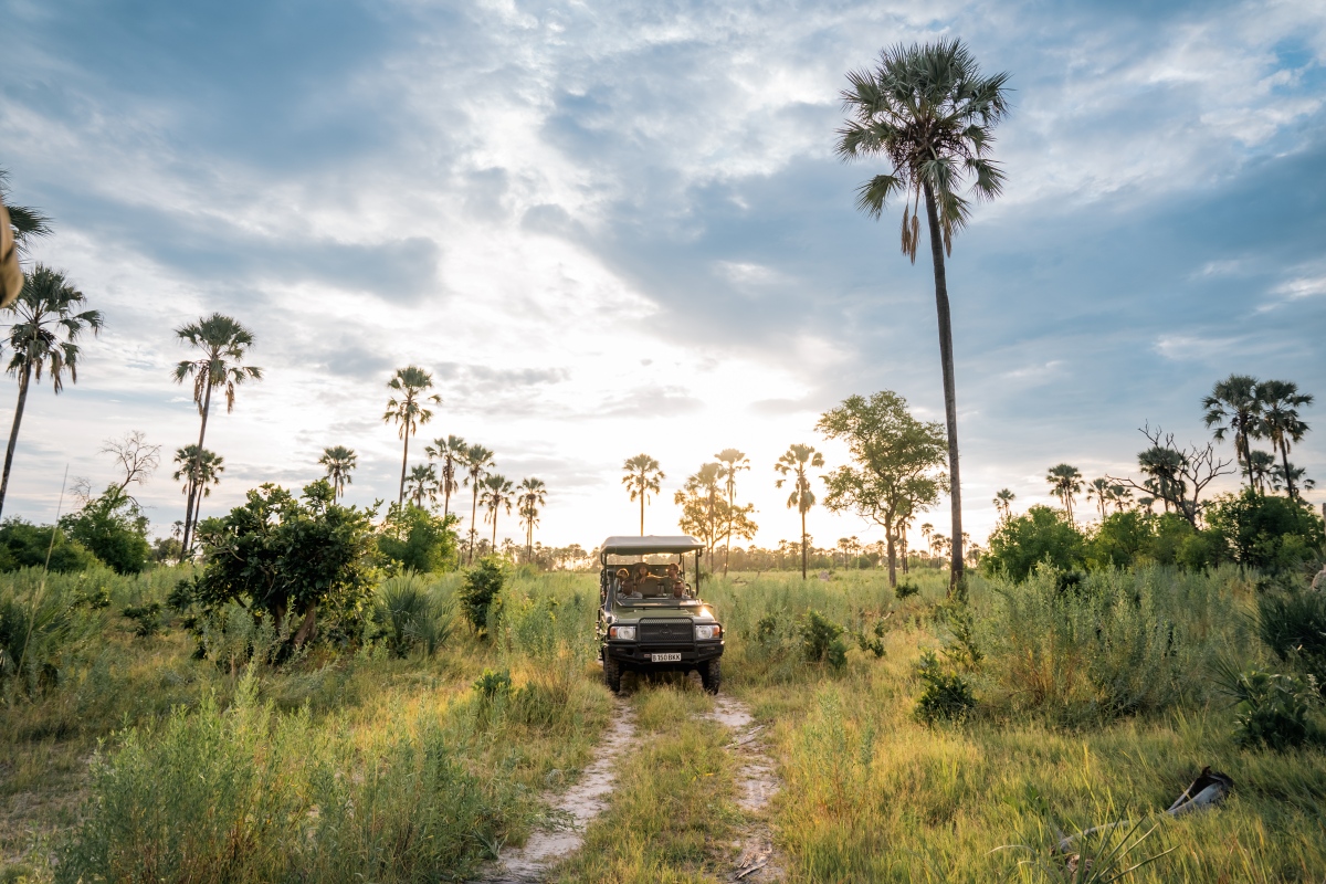 Moremi Crossing game Drive Vehicle