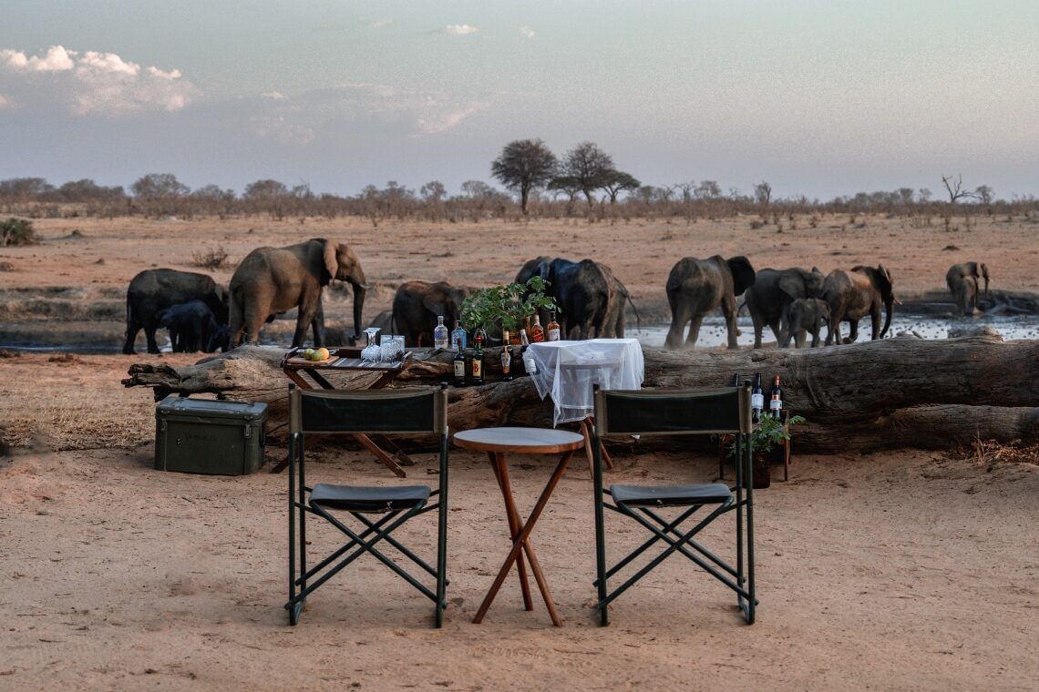 Verneys-Camp-Elephants-at-Waterhole.
