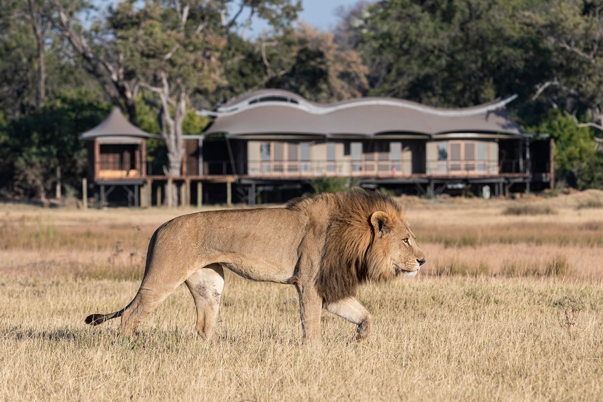 Xigera safari lodge