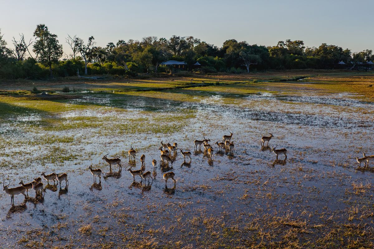 Xigera safari lodge