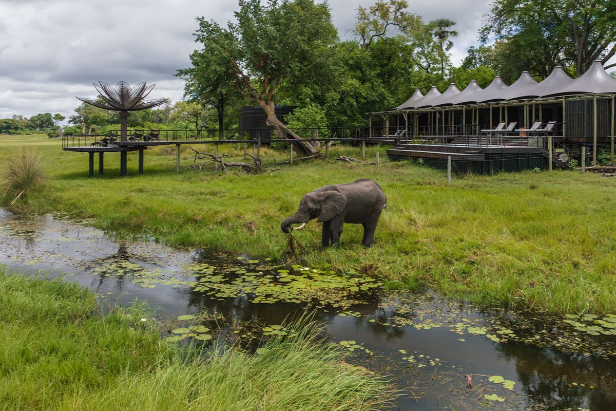 Xigera safari lodge