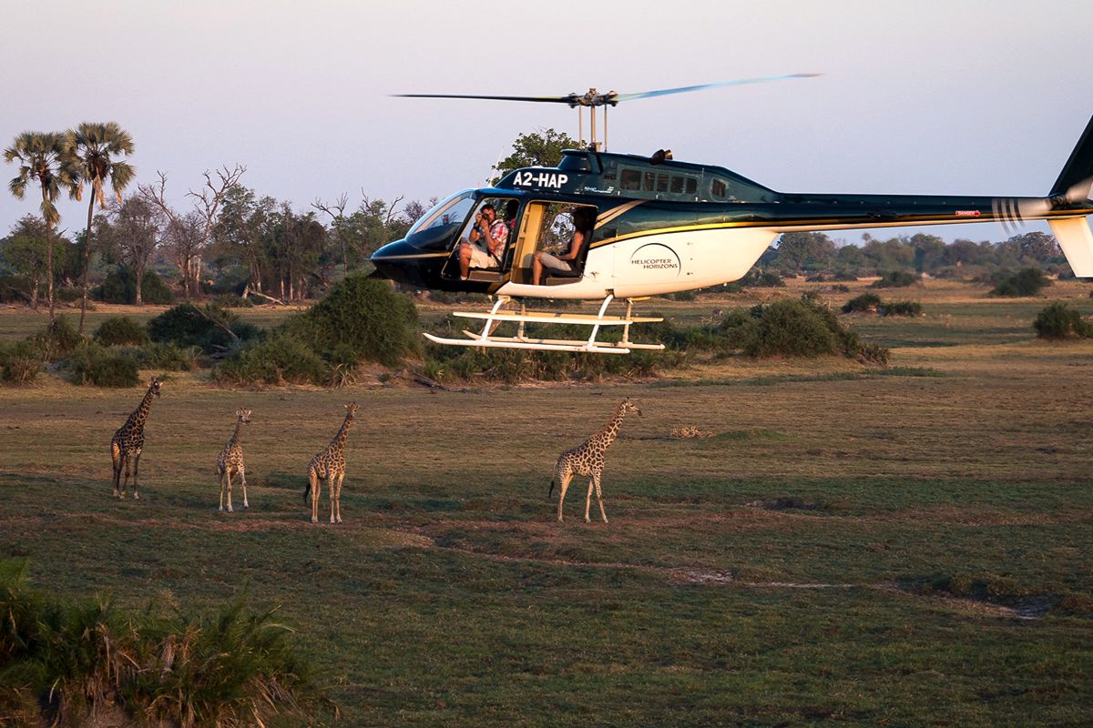 Atzaro Okavango Camp